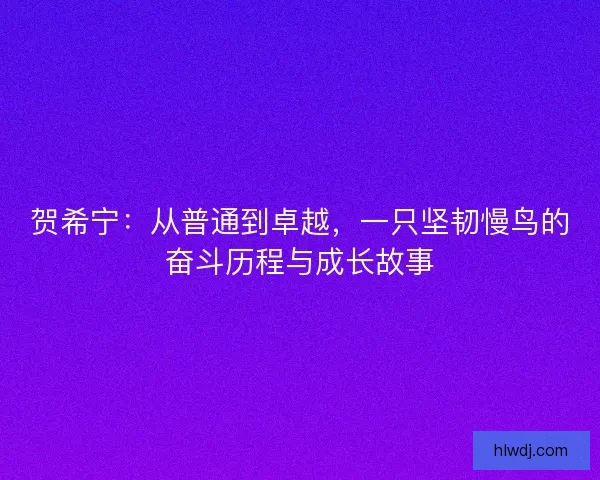贺希宁：从普通到卓越，一只坚韧慢鸟的奋斗历程与成长故事
